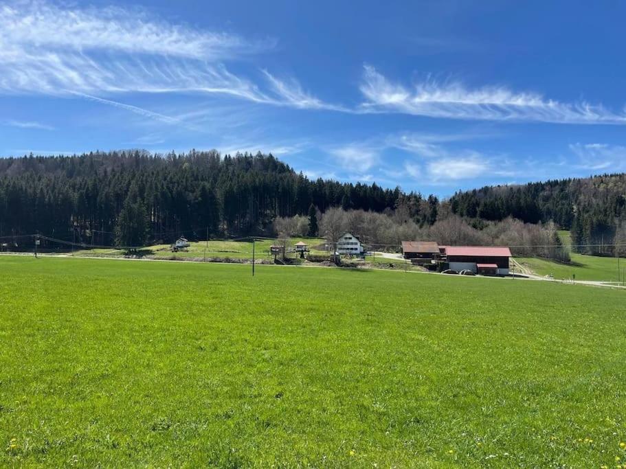 Idyllisches Ferienapartment Allgaeu Bad Grönenbach エクステリア 写真